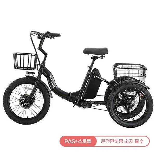 캐리 이지 전기자전거 CARRYEZ_25A (블랙) CARRYEZ_25A_BK